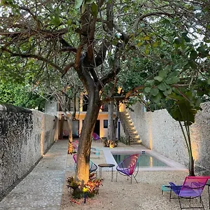  Aparthotel Hotelito Yum Kaax Mexiko