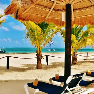 https://arrecifes-suites.allrivieramayahotels.com